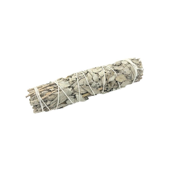 Medium Sage