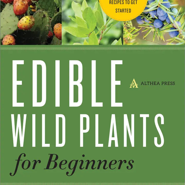 Edible Wild Plants For Beginners