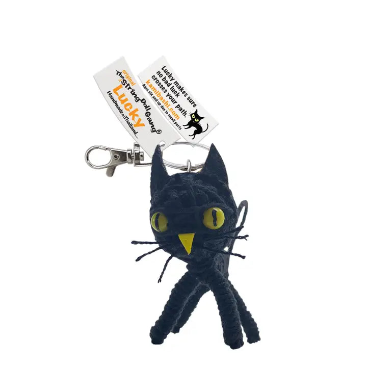 Lucky the string cat