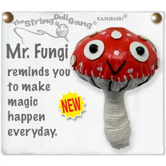 Mr. Fungi