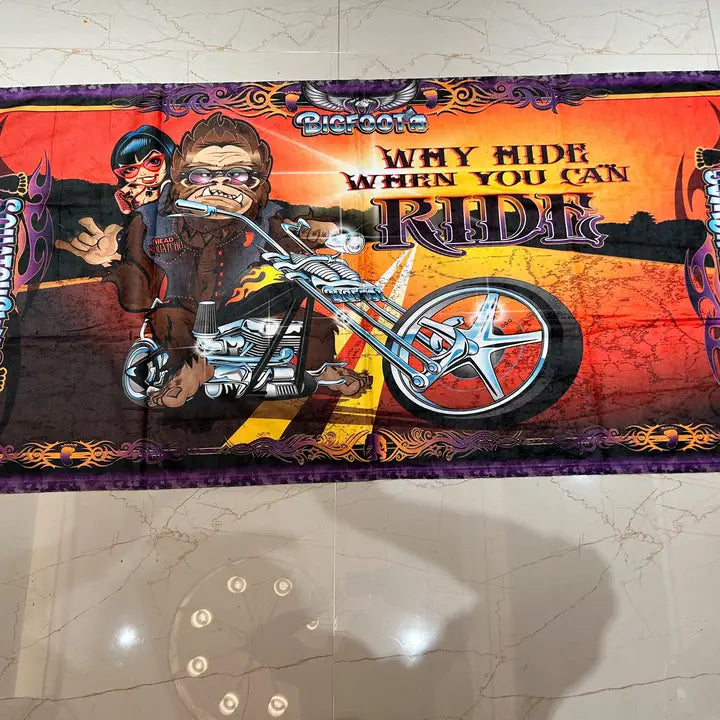 Why Hide Beach Towel