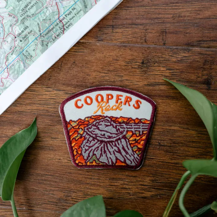 Coopers Rock State Forest Iron Patch