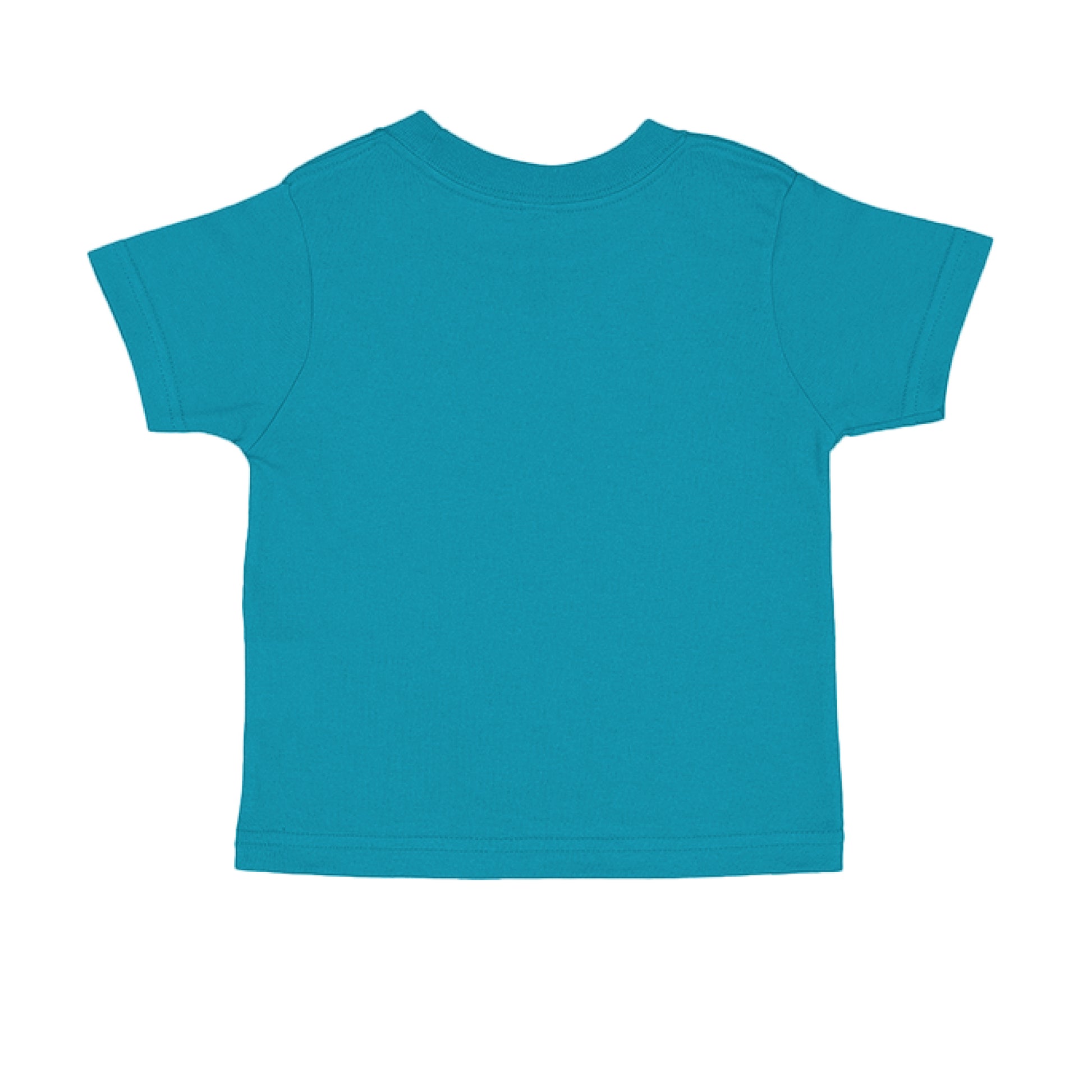 TURQUOISE - BACK