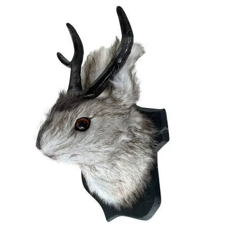 Jackalope Taxidermy